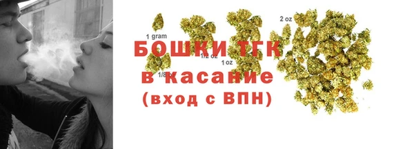 гидра Абаза