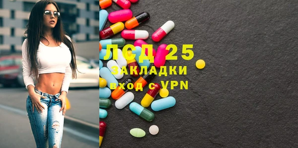 гидра Абаза