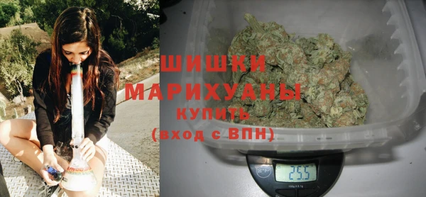 гидра Абаза