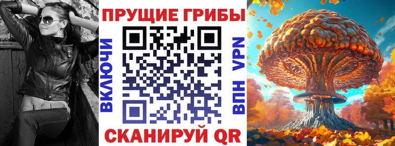 Галлюциногенные грибы мицелий  даркнет сайт  Судогда 